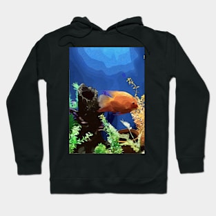 Goldfish Hoodie